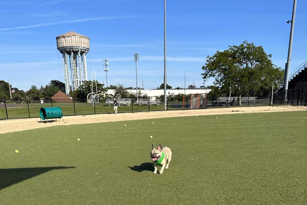 Water Tower Dog Park photo 1